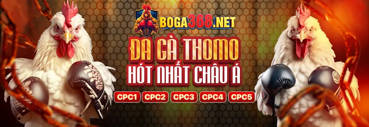 Đá Gà Trực Tuyến bec88 nổ hũ - Sân đấu sôi động